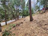 24397 Horst Drive - Photo 12