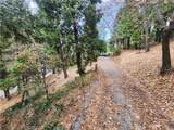 24397 Horst Drive - Photo 1