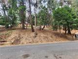 24397 Horst Drive - Photo 6