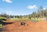 1601 Timber - Photo 13