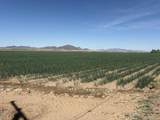187 Water Toll Acres On Ben Hulse Highway - Photo 4