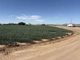 187 Water Toll Acres On Ben Hulse Highway - Photo 5