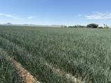 187 Water Toll Acres On Ben Hulse Highway - Photo 6