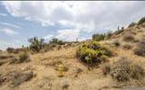 55705 Free Gold Drive - Photo 8