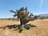 30600 Morningside Street - Photo 12