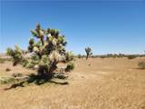 30600 Morningside Street - Photo 8