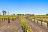 5575 El Pomar - Photo 15