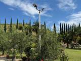 7907 Balcom Canyon Road - Photo 11