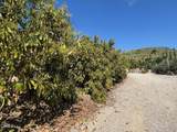 7907 Balcom Canyon Road - Photo 13
