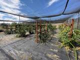 7907 Balcom Canyon Road - Photo 26