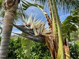 7907 Balcom Canyon Road - Photo 40