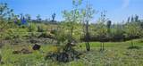 1190 Glen - Photo 10