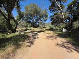 109 Trampa Canyon Road - Photo 8