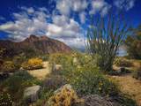 0 Palm Canyon Dr. - Photo 1