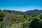 9954 Wildflower Road - Photo 23