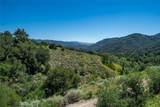 9954 Wildflower Road - Photo 43