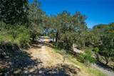 9954 Wildflower Road - Photo 48