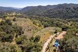9954 Wildflower Road - Photo 57