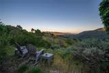 9954 Wildflower Road - Photo 65