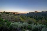 9954 Wildflower Road - Photo 66