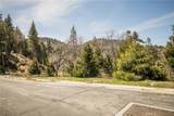 226 Hidden Forest Road - Photo 8