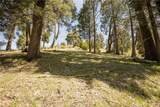 226 Hidden Forest Road - Photo 10