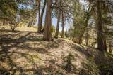 226 Hidden Forest Road - Photo 11