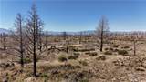 35 Blk 43 Lot 35 Heinzelman Dr - Photo 15