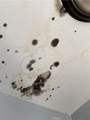 66155 1st - Photo 29