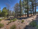41711 Swizterland - Photo 4