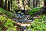 11800 Clear Creek Road - Photo 10
