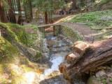11800 Clear Creek Road - Photo 12
