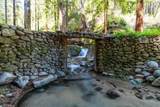 11800 Clear Creek Road - Photo 14