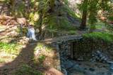 11800 Clear Creek Road - Photo 16