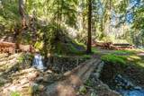 11800 Clear Creek Road - Photo 18