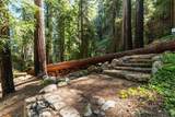 11800 Clear Creek Road - Photo 22