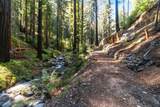 11800 Clear Creek Road - Photo 23