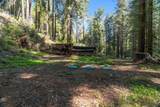 11800 Clear Creek Road - Photo 30