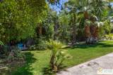 552 Orchid Tree Lane - Photo 33