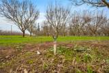 16221 Carrolton - Photo 6