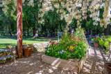 12500 Cenegal - Photo 59