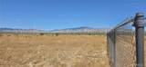 0 Rosamond Boulevard - Photo 3