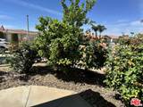 27497 Camino Vacuna - Photo 24