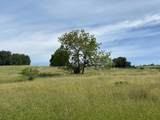 4152 Aborn Road - Photo 4