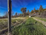 5314 Wilderness View Drive - Photo 13