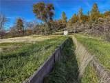 5314 Wilderness View Drive - Photo 14