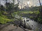 109 Sycamore Valley - Photo 2