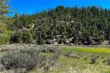 79402 State Highway 3 - Photo 13
