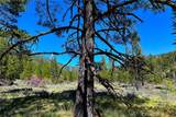 79402 State Highway 3 - Photo 2