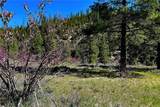 79402 State Highway 3 - Photo 20